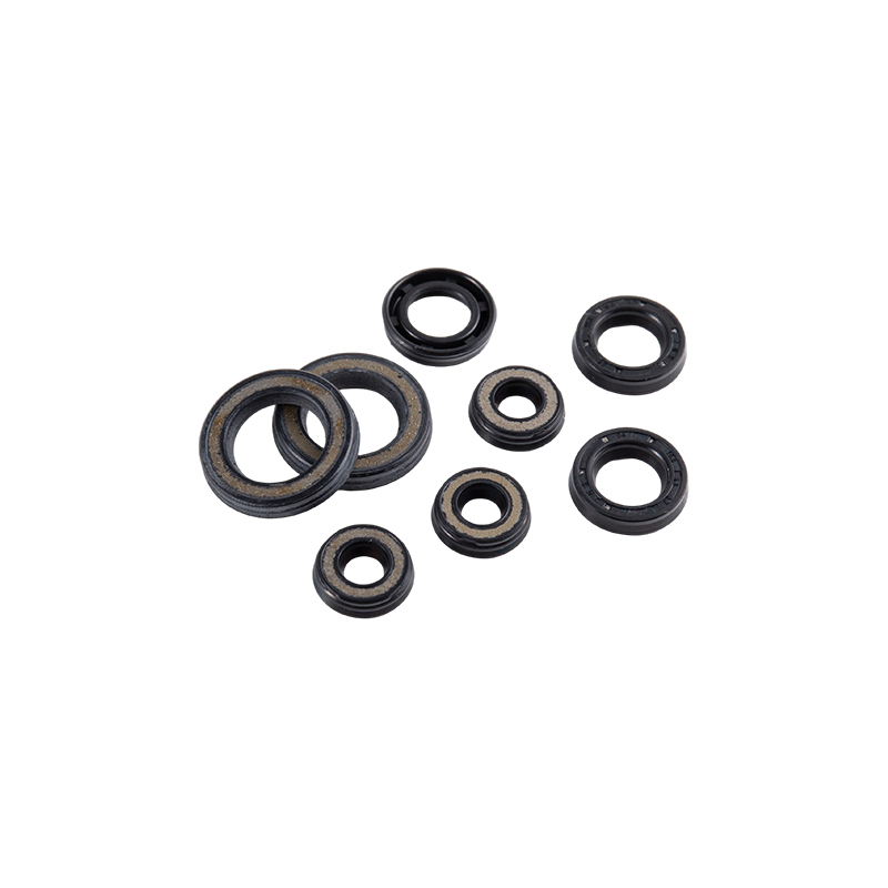 10.6 Series Standard Piston Seal
